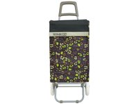 Carrito de Compra Plegable Ligero 100x41x33cm, Resistente con 2 Ruedas, Capacidad de Carga 48 Litros - Ideal para Comprar
