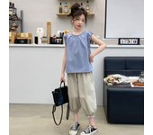 2025 verano nueva ropa de los niños mediana y grande niñas dulce temperamento algodón y lino pequeña manga voladora muñeca camisa flor capullo pantalones de dos piezas conjunto