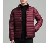 Chaqueta ligera de plumón de pato para hombres, chaqueta casual, relleno de plumón de pato blanco, invierno, 2024, nueva, 90%