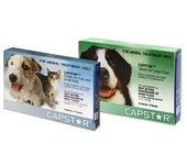Elanco Capstar 11.4 mg 6 comprimidos