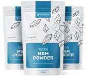 FutuNatura 3x MSM en polvo, en total 750 g