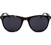 Gafas de Sol Levis LV 5005/S/N 086 HAVANA 51/20/145 Hombre