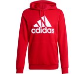 Sudadera con capucha adidas Essentials Big Logo