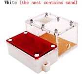 3D Acrylic Mini Ant Nest With Moisturizing Water Tower Ant Farm Pet Queen Breeding Box Anthill Insect House Workshop Accessory
