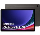 Samsung Galaxy Tab S9 WiFi 12/256GB Gris