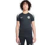 Nike - Camiseta Chelsea FC Training 2025-2026 Niño, Unisex, Outdoor Green-Outdoor Green-Phantom-Phantom F, M