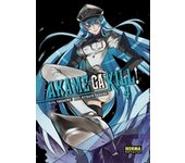 AKAME GA KILL! 04