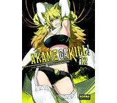 AKAME GA KILL! 13