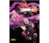 AKAME GA KILL! 06