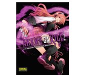 AKAME GA KILL! 06 (NE)