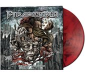 LP de Firewind - Stand United - para Standard