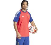 Adidas - Camiseta España Fanswear Eurocopa 2024, Unisex, Ray Red-Victory Blue, S
