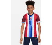 Primera equipación Stadium Noruega 2024/25 (Selección masculina) Camiseta de fútbol tipo réplica Nike Dri-FIT - Niño/a - Rojo
