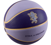 Nike LeBron All-Court 8P Pelota de baloncesto (desinflada) - Morado (7)