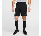 Tercera equipación Stadium Chelsea FC 2024/25 Pantalón corto de fútbol Replica Nike Dri-FIT - Hombre - Negro (3XL)
