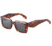 Gafas De Sol Beo 188 C2 Havana