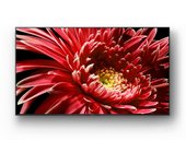 Televisor SONY KD55XG8596 | 139cms | Ultra HD |  4K | Android TV