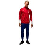 Nike - Chándal PSG Training 2024-2025, Unisex, Wings Jrdn Red-Phantom-Blue Void-Phantom, S