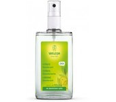 Weleda Citrus Desodorante 100 ml
