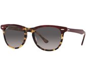 Rayban Gafas De Sol Ray-Ban Rb 2398 1377m3 Havana granate