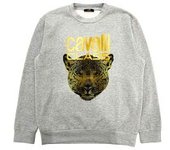 Cavalli Class - Qxt66b Cf062