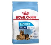 Royal Canin Maxi Starter 15 Kg
