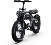[EU DIRECT] PHNHOLUN C8 Pro Bicicleta Eléctrica Batería de 48V 20AH Motor de 1000W Neumáticos de 20 pulgadas Máximo de 6