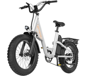 [EU Direct] EKXBIKE L1 Bicicleta eléctrica 48V 15.6AH Batería 1000W Motor Llantas de 20 pulgadas 60-80KM Autonomía máxim