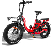 [EU DIRECT] FAFREES F20 X-MAX Bicicleta Eléctrica Motor 750W Batería 48V 30AH Neumáticos Gordos de 20*4.0 Pulgadas 180-2
