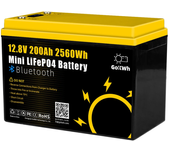 Gokwh 12V 200Ah BT + SOC Mini Caja de Batería Bluetooth para Almacenamiento de Energía del Coche con APP Inteligente Inc