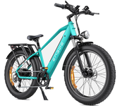 [EU DIRECT] ENGWE E26 Bicicleta eléctrica 16Ah 48V 250W Bicicleta eléctrica 26*4.0 Pulgadas Fat Neumático Rango de kilom
