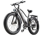 [EU DIRECT] Bicicleta eléctrica BURCHDA RX20 Batería de 48V 20AH Motor de 1000W Neumáticos de 26*4.0 pulgadas Kilometraj