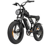 [EU DIRECT] Ridstar Q20 Mini Bicicleta Eléctrica Batería de 48V 15AH Motor de 1000W Neumáticos de 20 pulgadas 60-80KM de