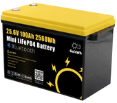 Gokwh 24V 100Ah Caja de Almacenamiento de Energía LCD 2560Wh Batería de Litio Ion LiFePO4 (LFP) para RV, Barco, Almacena