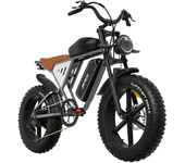 [EU Direct] JANSNO X70 Bicicleta eléctrica 48V 14AH+20AH Doble batería 750W motor Ruedas de 20 pulgadas 120 km autonomía