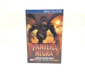 OTRAS COLECCIONES PANINI PANTERA NEGRA ¿QUIÉN ES PANTERA NEGRA?