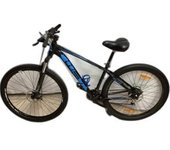 BICICLETA MONTAÑA WST POISON