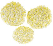 Kärcher Almohadilla pulidora para piedra o PVC (Apto para: PVC, Específico para: Pulidora de suelos Kärcher FP 303, 3 ud.)