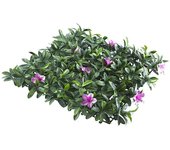 Jardín vertical Malva (Plástico, L x An: 50 x 50 cm, Apto para: Decoración)