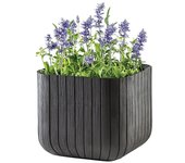 Keter Maceta para planta Cube Box (L x An x Al: 40 x 40 x 40 cm, Material compuesto, Marrón)