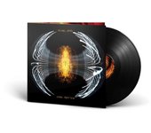 LP de Pearl Jam - Dark matter - para Standard