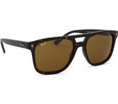 Ray-Ban RB2213 902/33 58