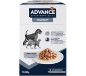 Advance Recovery Veterinary Diets comida húmeda para perros y gatos - Pack % - 22 x 100 g