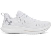 Zapatillas de running Under Armour Velociti 4