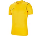 Camiseta de entrenamiento para niños Nike Dri-FIT Park