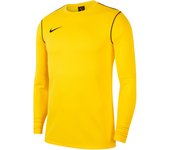 Camiseta de manga larga para niño Nike Dri-FIT Park