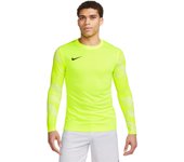 Camiseta Nike Dri-FIT Park IV