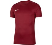 Camiseta Nike Dri-FIT Park VII