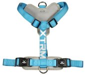 Arnes x-trm cronos neon flash azul 20mm x 46-75cm