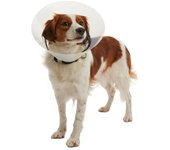 Kruuse collar isabelino transparente buster clic, 20 cm, perros de 15 a 25 kg, 10 uds
